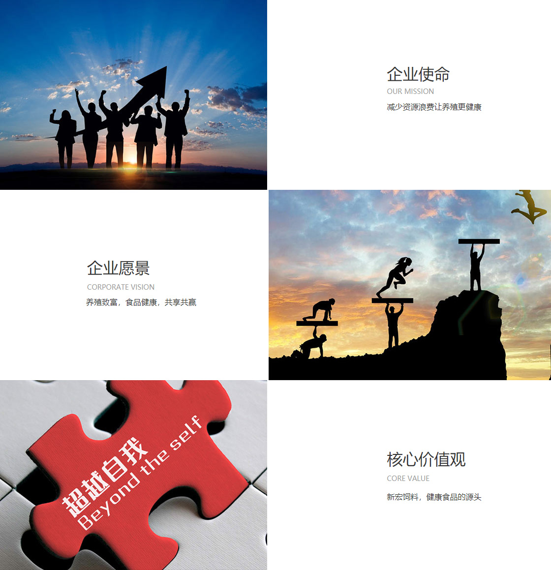 悟空体育app(图1)